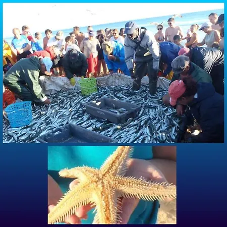 Semesterbostad Vivenda Da Bela Vista