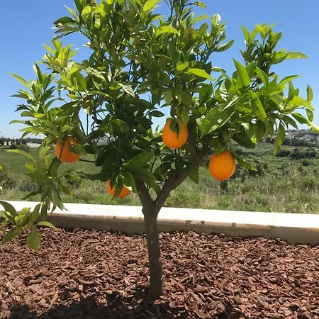 Vivenda Da Bela Vista Semesterbostad Costa de Caparica