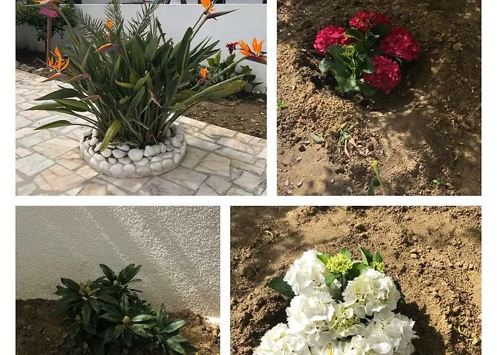 Vivenda Da Bela Vista *