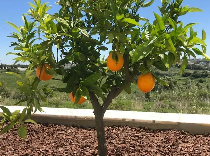 Vivenda Da Bela Vista Casa vacanze Costa da Caparica