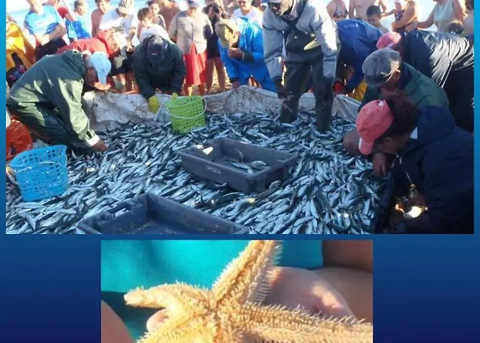 Prázdninový dům Vivenda Da Bela Vista